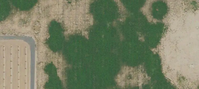 Land