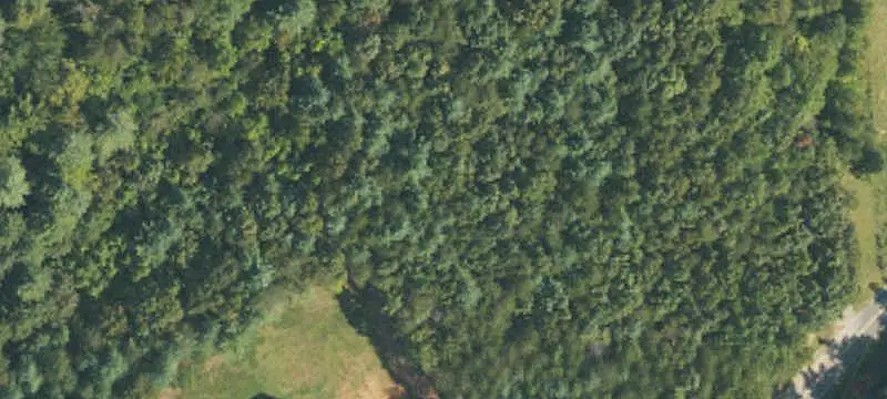 Land or Vacant Lot
