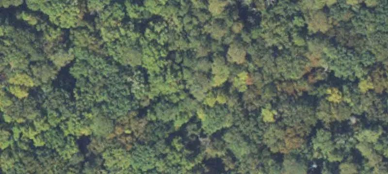 Land/Lot