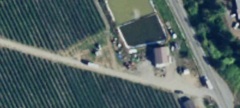 Producing Blueberry Farm