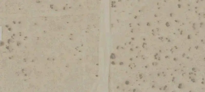 Land Parcel