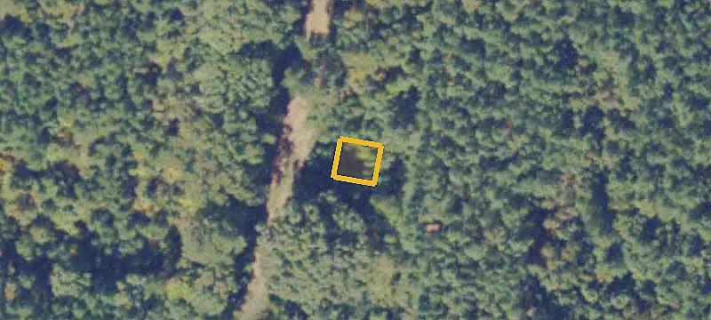 Timbered Agricultural Land