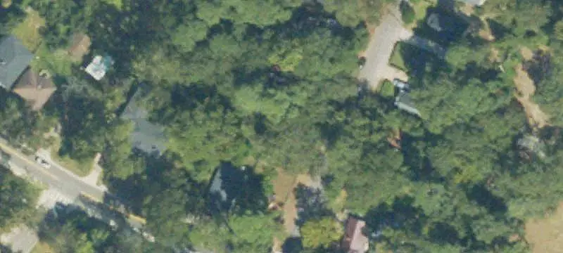 Uncleared Land Parcel
