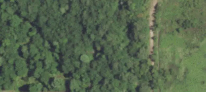 Wooded Hunting Land