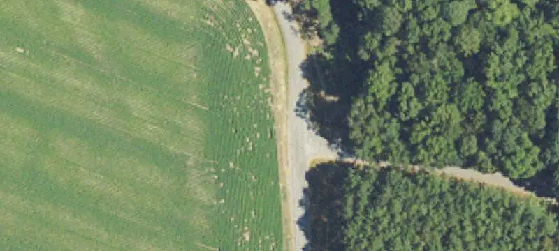 Land