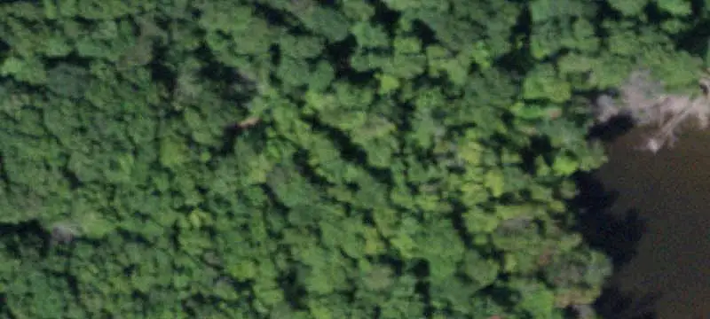 Forested Hunting Land with Pond