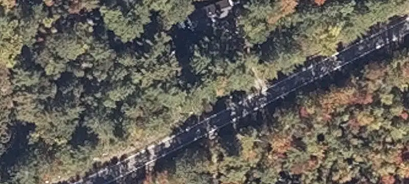Wooded Land Parcel