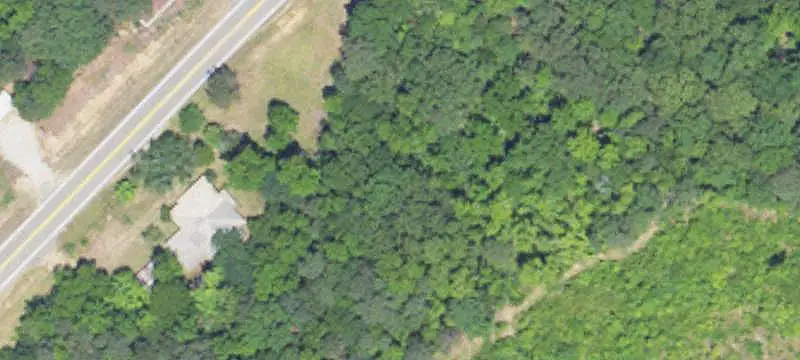 Wooded Development Land