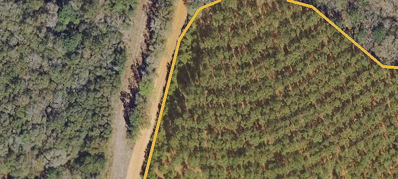 Fenced Agricultural Land with Creek