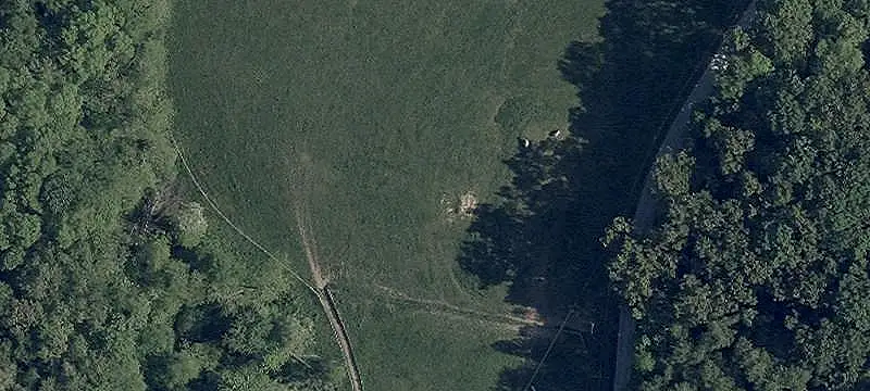 Open and Wooded Hunting Land