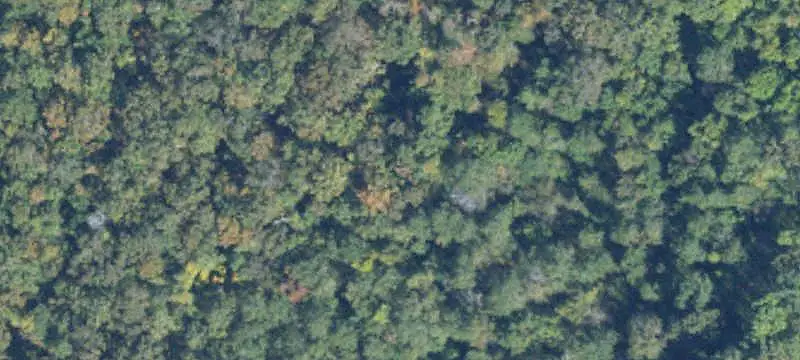 Pasture and Timber Farmland