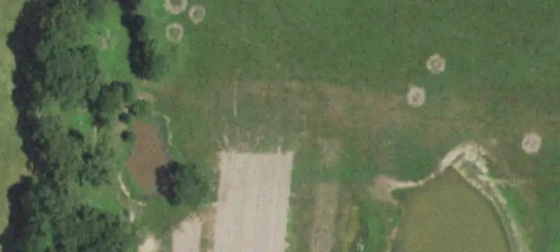 Single-Family Land with Wildlife