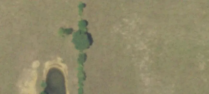 Agricultural Land with Wooded Areas