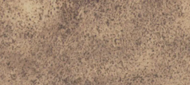 Vacant Land / Lots