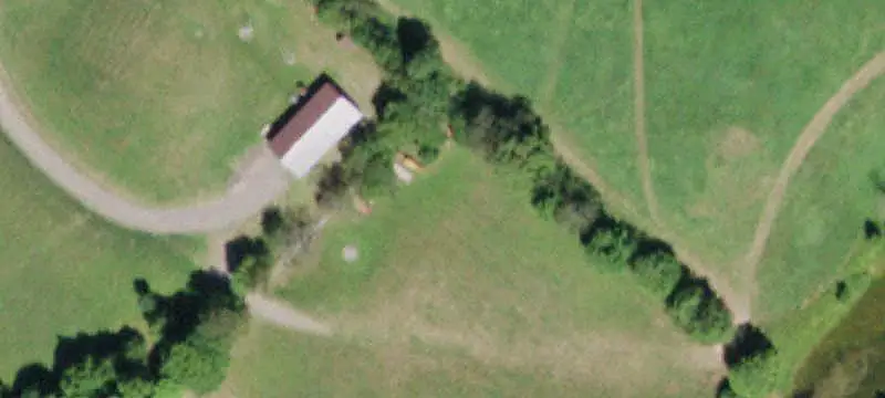 Hunting Land with Access Road