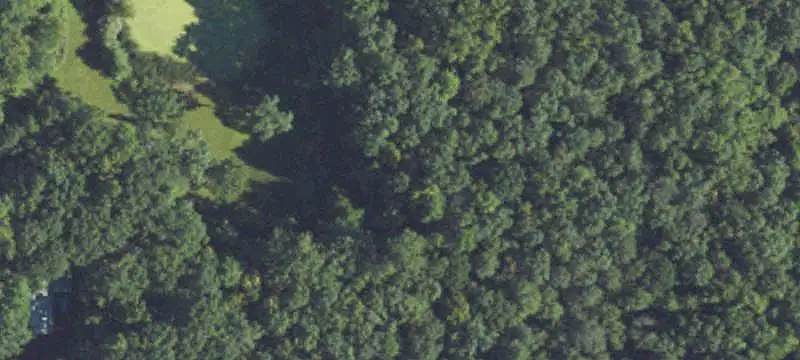 Agricultural Land with Wooded Acreage