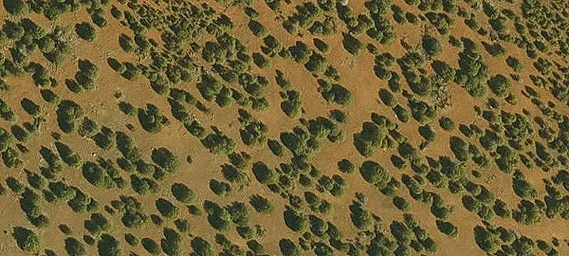 Land
