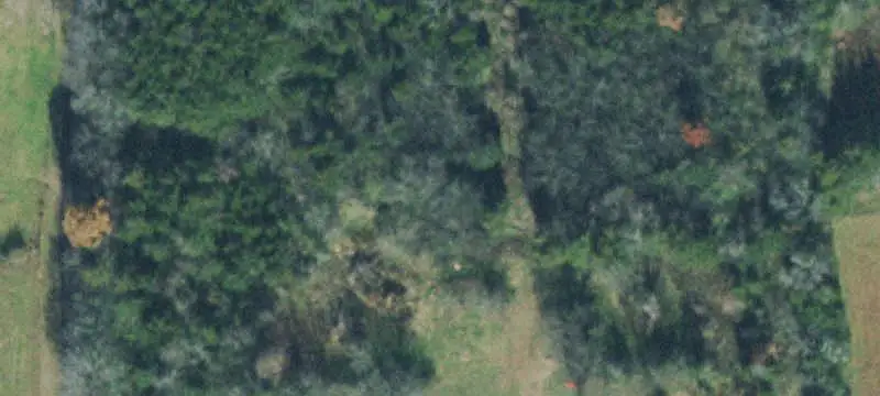 Agricultural Land with Creek