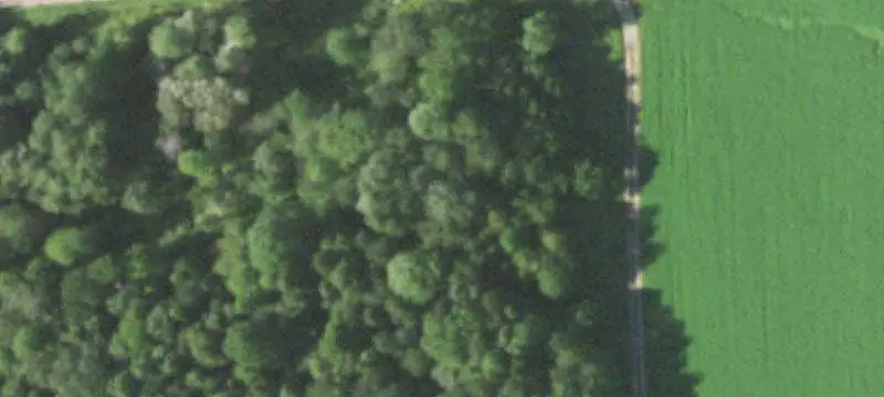 Land