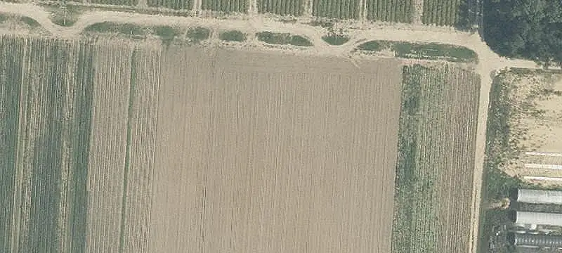 Unimproved Land