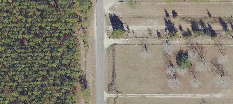 Agricultural Property With Farmhouse