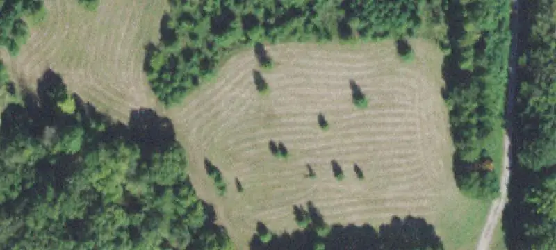 Agricultural Pastureland