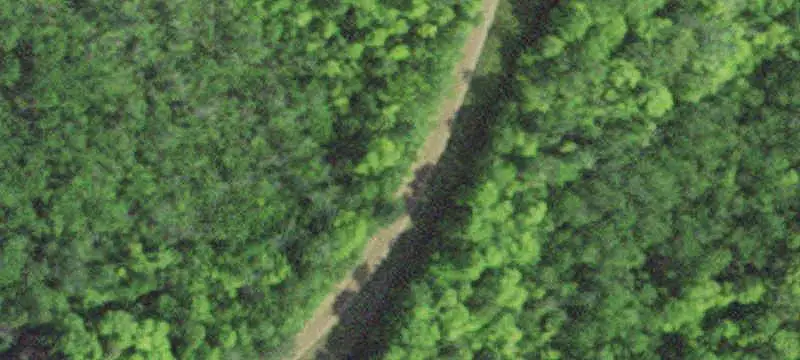Wooded Hunting Land