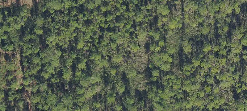 Agricultural Land Parcel