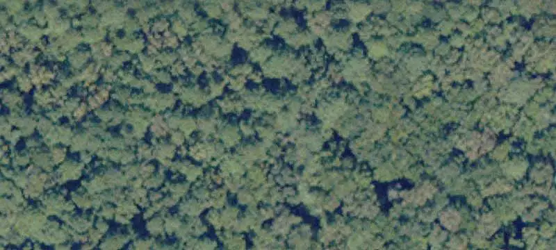 Vacant Land