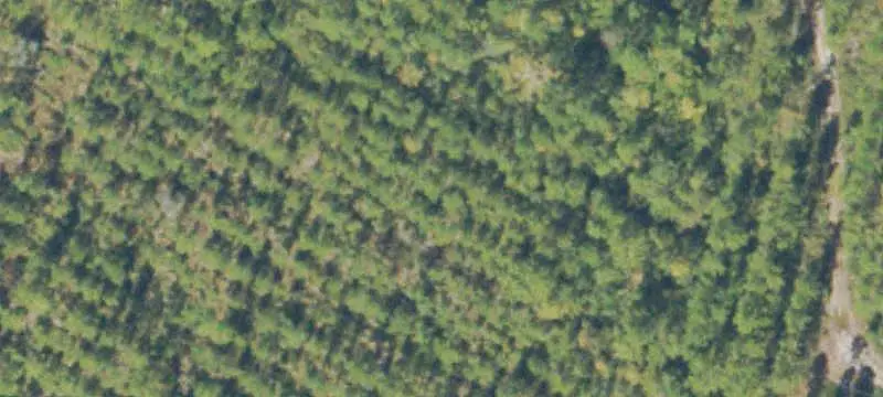 Hunting Land with Private Camp