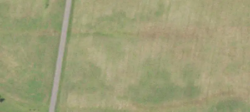 Wooded Recreation Land