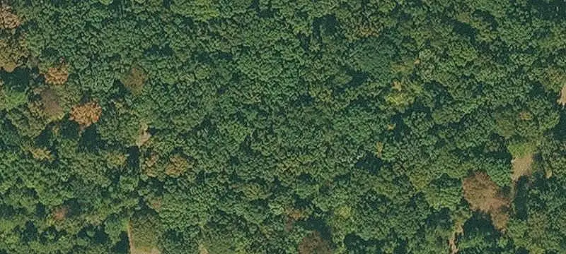 Unimproved Land