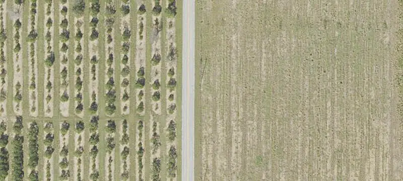 Land