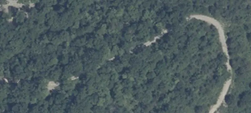 Wooded Pasture Land