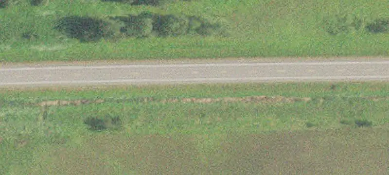 Timbered Land with Trails