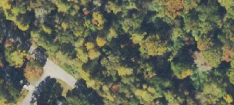 Land/Lot