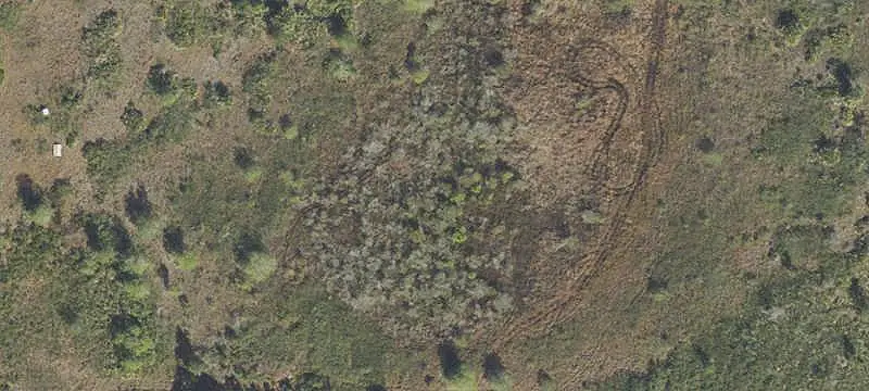 Land