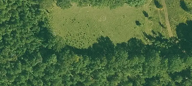 South Arkansas Hunting Land