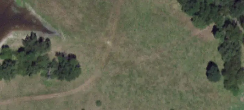 Wooded Land Parcel