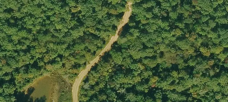 Wooded Hunting Land With Water