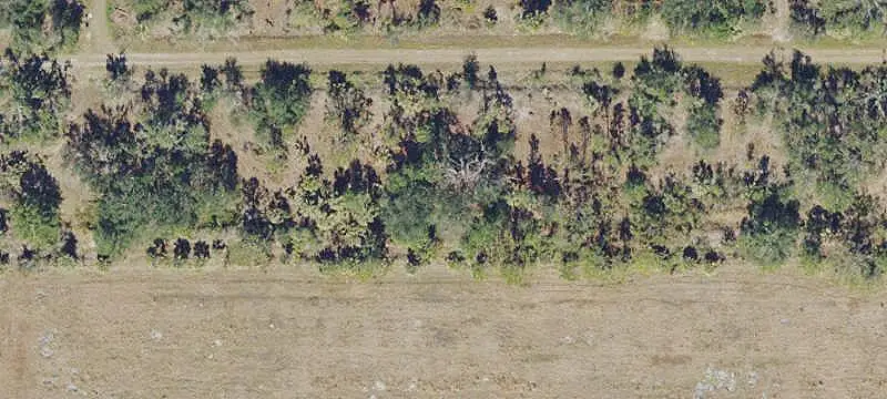 Land or Vacant Lot
