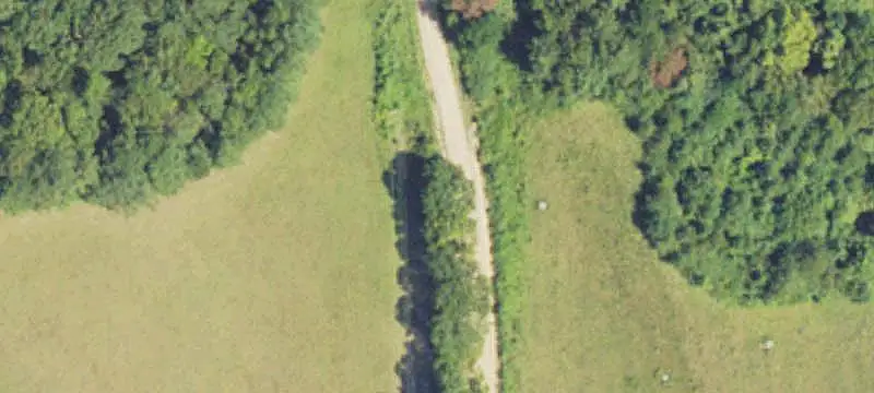 Pasture and Wooded Agricultural Land