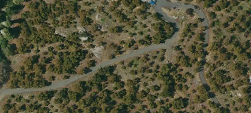 Avocado Grove Farm