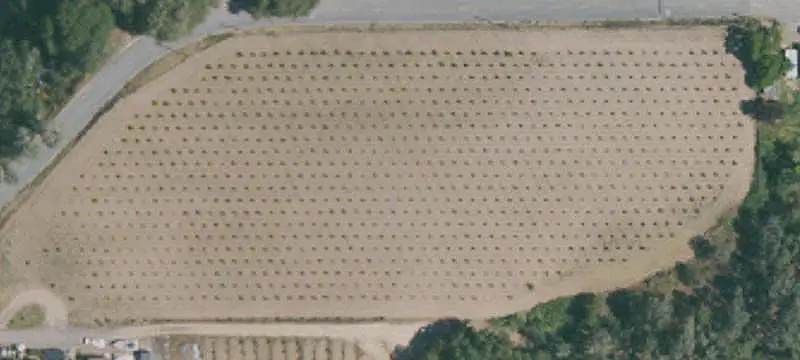 Carignane Vineyard Parcel