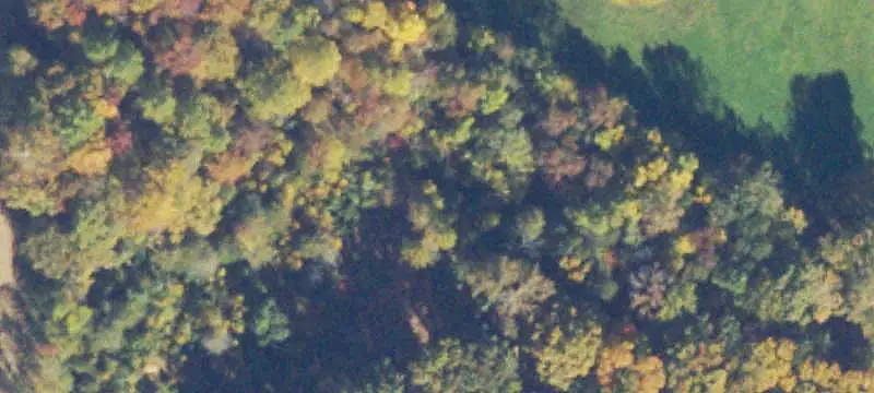 Unimproved Land