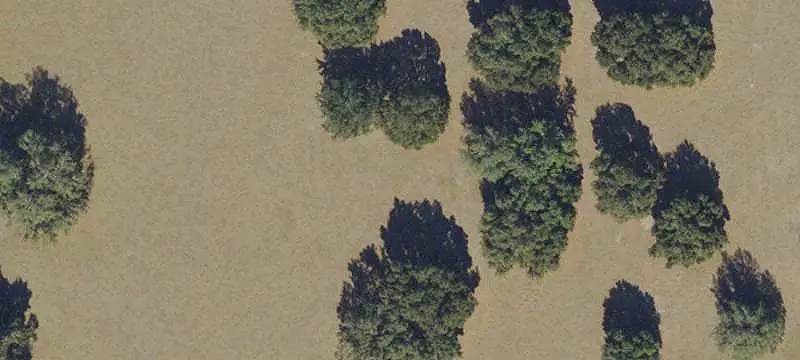 Land