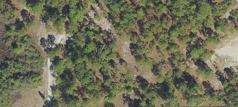 Land/Lot