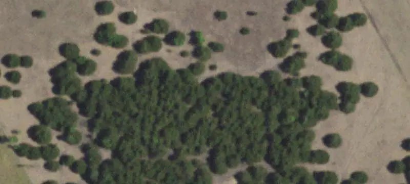 Unimproved Land