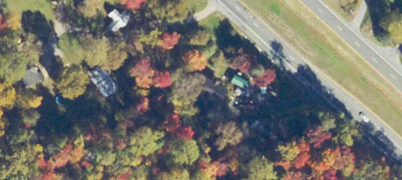 Wooded Hunting Land With Cabin