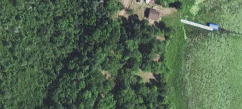 Hattie Lake Hunting Land